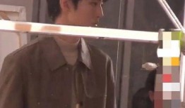 狗仔爆料 王俊凯视频播放,狗仔爆料引发网友热议