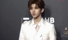 先生爆料蔡徐坤视频,揭秘背后真相与争议